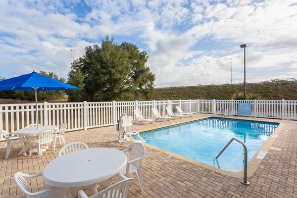 Pool - Microtel Inn & Suites by Wyndham Brooksville - I-75, Exit 301