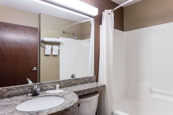  - Microtel Inn & Suites by Wyndham Macon - I-75, Exit 172