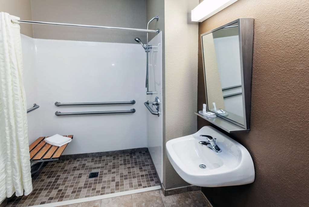 MICROTEL INN & SUITES BY WYNDH-guestroom-Guest Room,Bathroom,On-Site.jpg