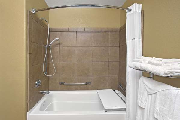  - Microtel Inn & Suites by Wyndham Cartersville