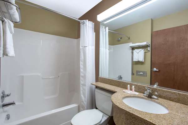  - Microtel Inn & Suites by Wyndham Mansfield