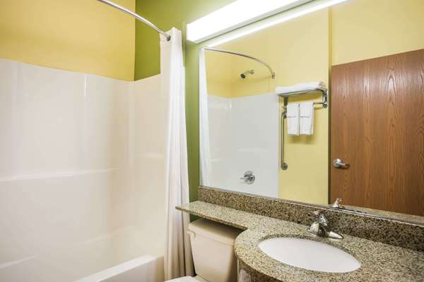  - Microtel Inn & Suites by Wyndham Opelika - I-85, Exit 58