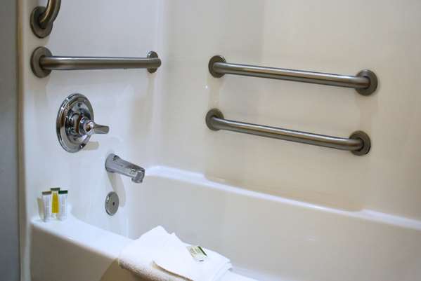  - Microtel Inn & Suites by Wyndham Opelika - I-85, Exit 58