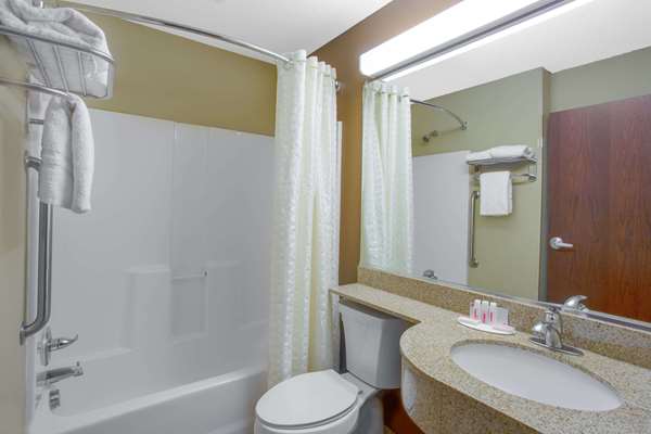  - Microtel Inn & Suites by Wyndham Harrisonburg - I-81, Exit 243