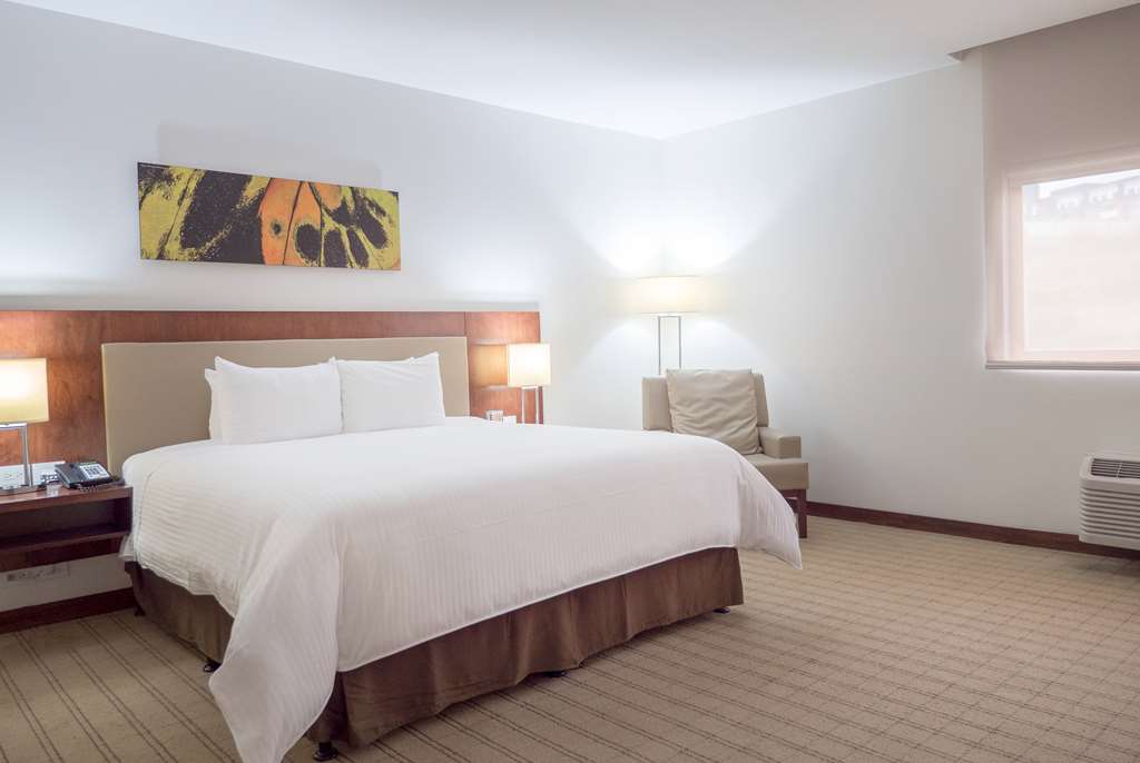 WYNDHAM GARDEN SAN JOSE ESCAZU-guestroom-Guest Room,On-Site.jpg
