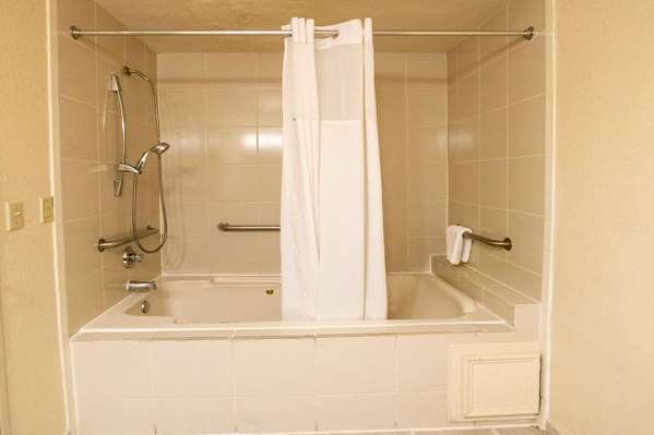  - Days Inn & Suites Bush Airport North Houston - I-45, Exit 59