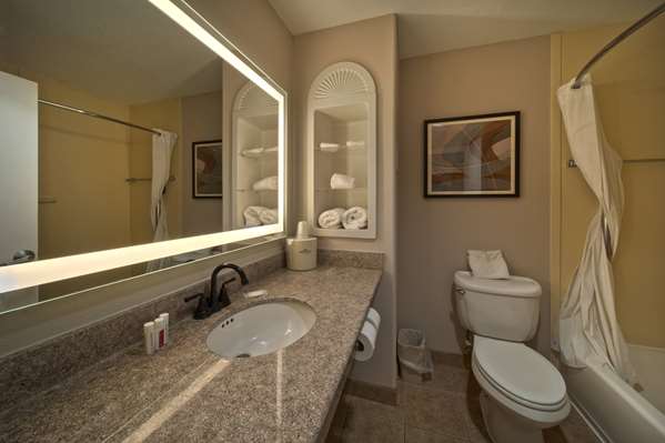  - Wingate by Wyndham Hotel Bush Airport Houston