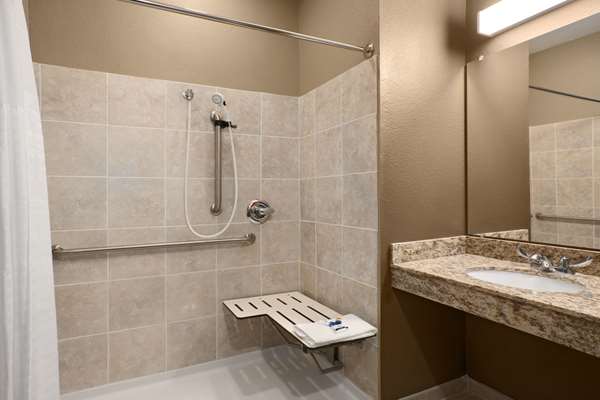  - Microtel Inn & Suites by Wyndham Pleasanton