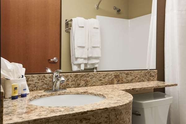  - Microtel Inn & Suites by Wyndham Pleasanton