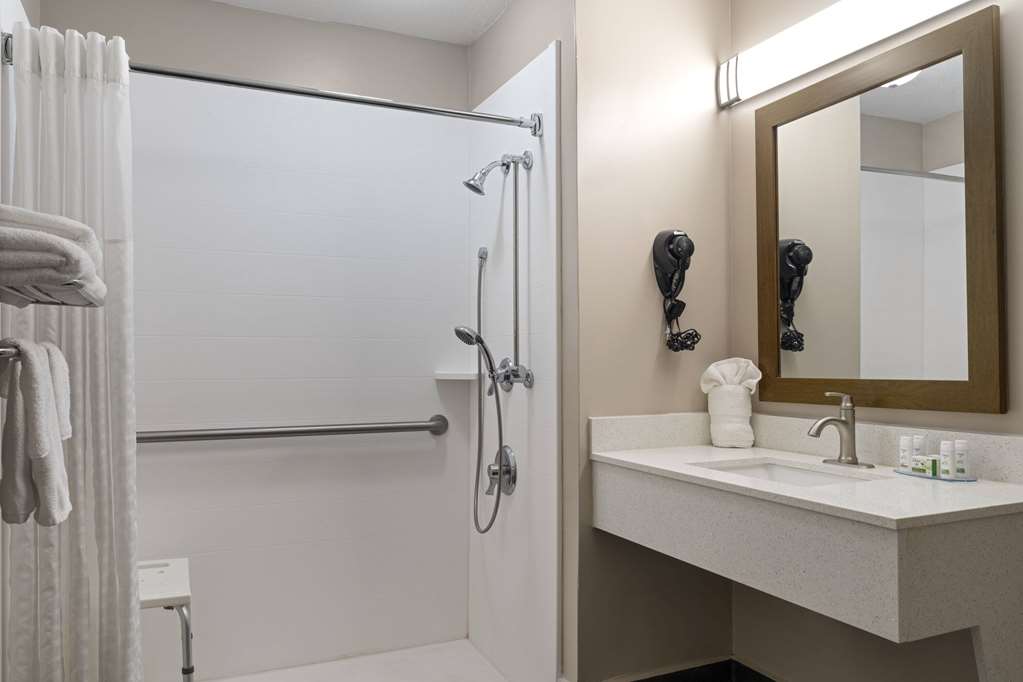 BAYMONT BY WYNDHAM, KINGSLAND-guestroom-Guest Room,Bathroom,Shower,Accessibility,On-Site.jpg