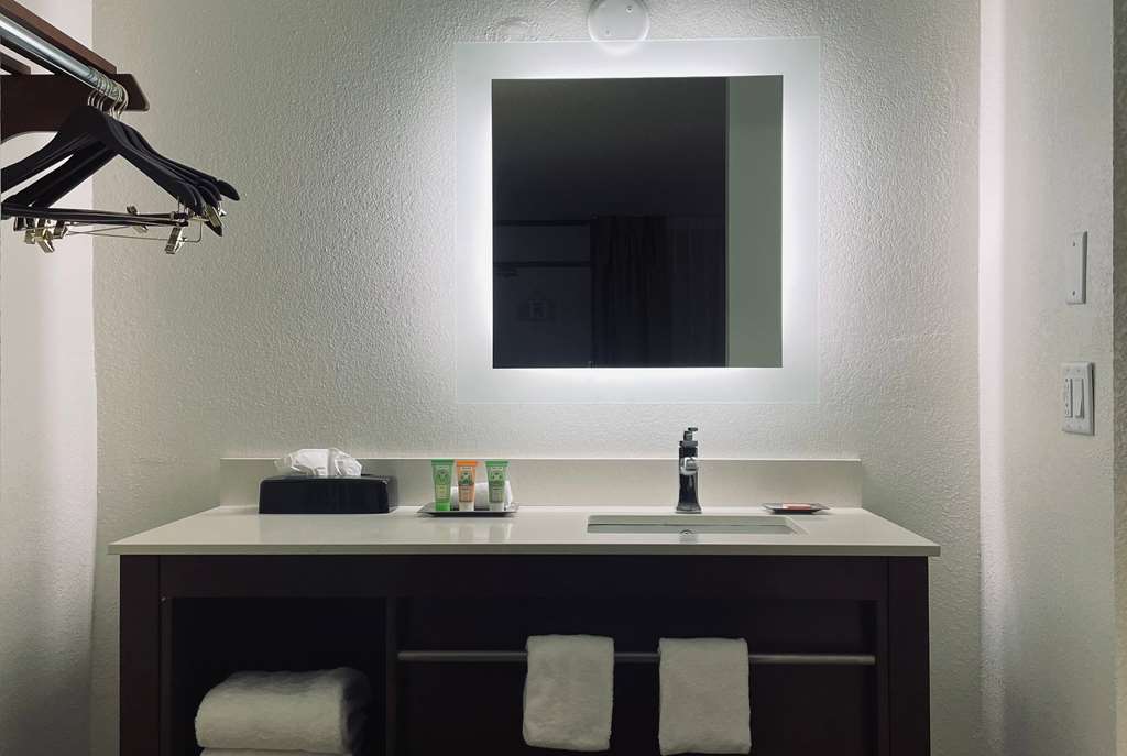 WYNDHAM GARDEN ROMULUS DETROIT-guestroom-Guest Room,Bathroom,On-Site.jpg