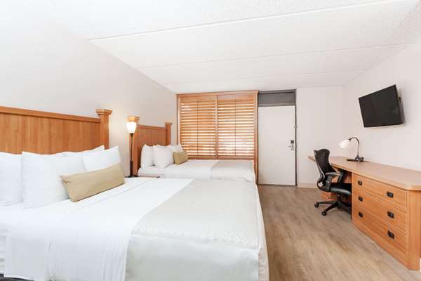 Suite - Wyndham Garden Hotel & Conference Center Austin - I-35, Exit 231