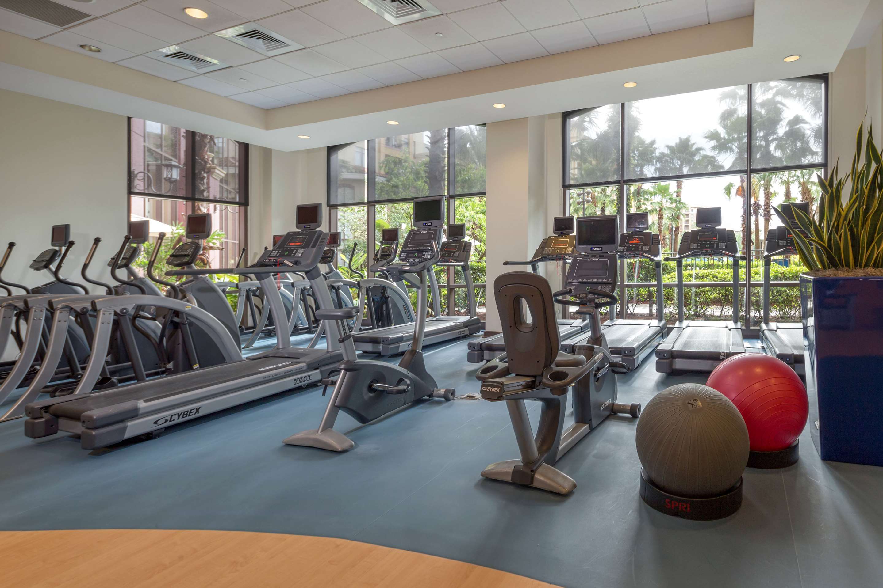Property amenity | Wyndham Grand Orlando Resort Bonnet Creek