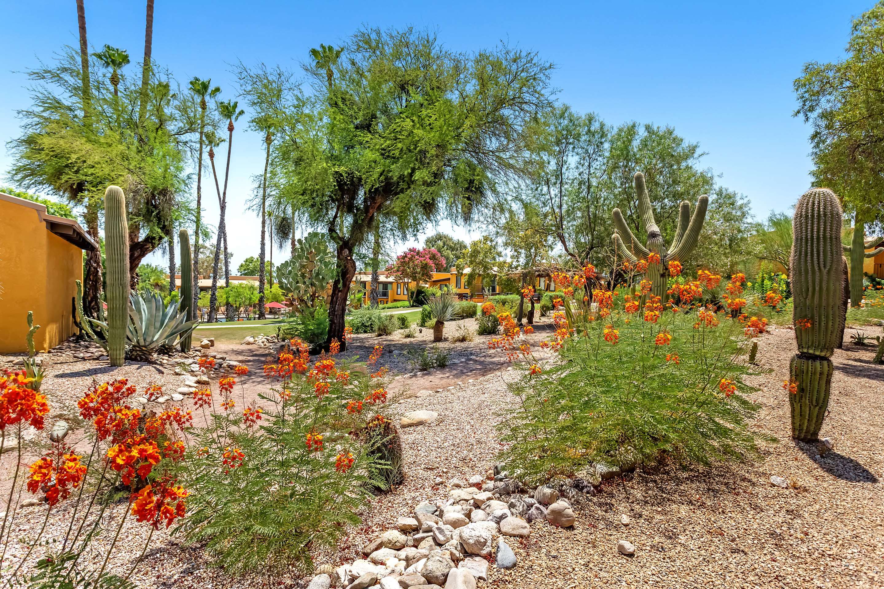 Property amenity | Westward Look Wyndham Grand Resort and Spa