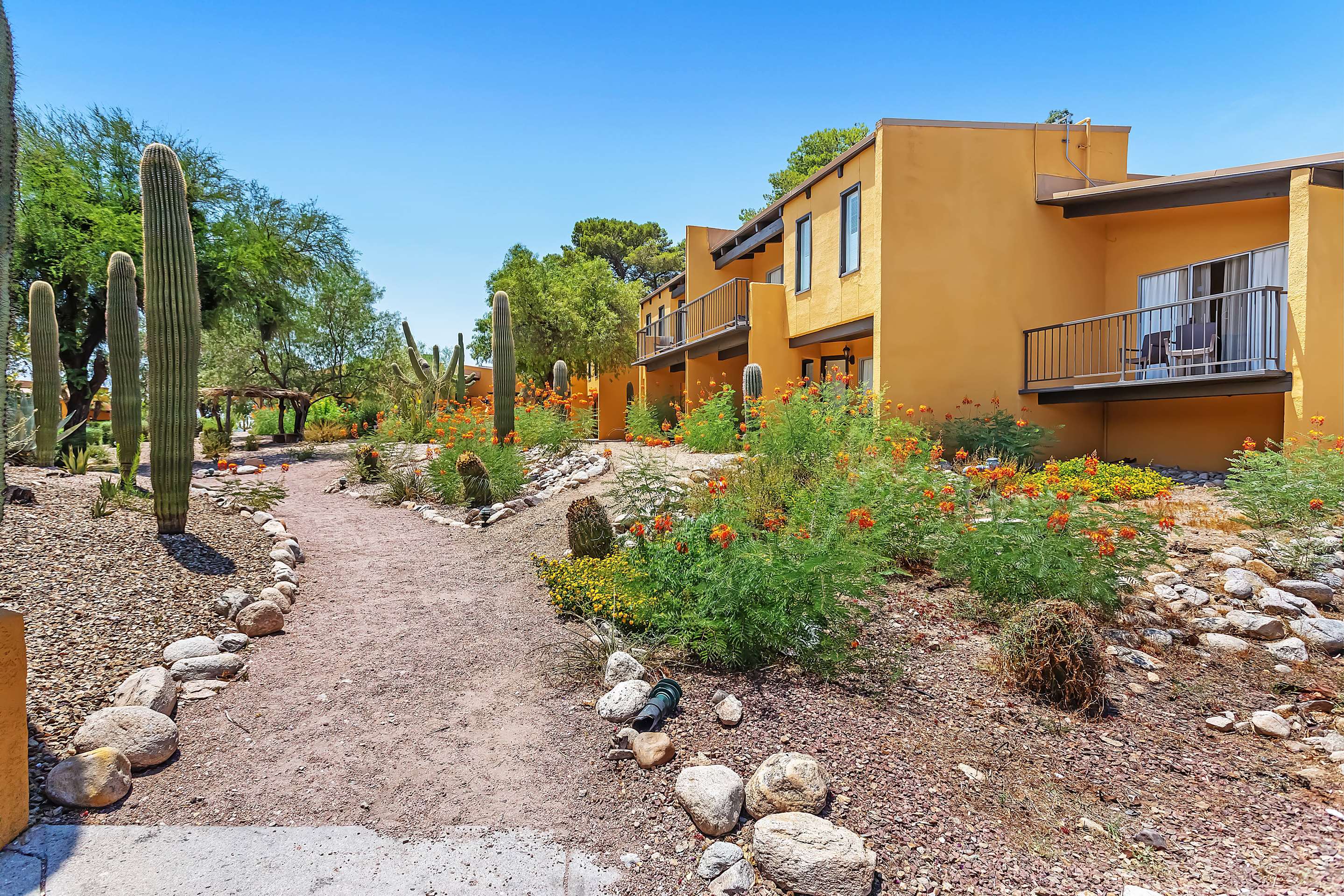 Property amenity | Westward Look Wyndham Grand Resort and Spa