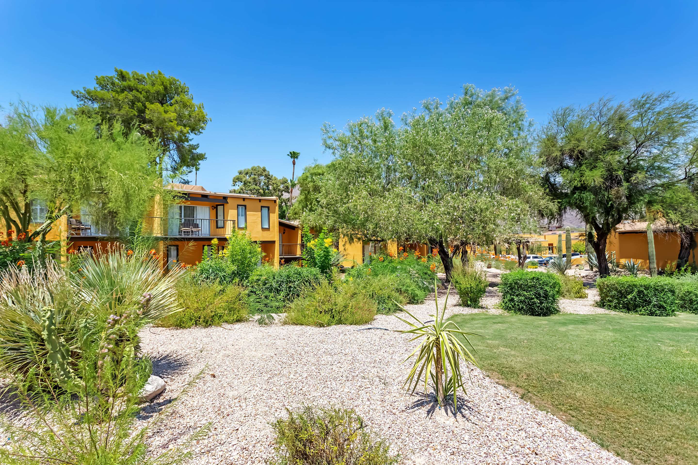 Property amenity | Westward Look Wyndham Grand Resort and Spa
