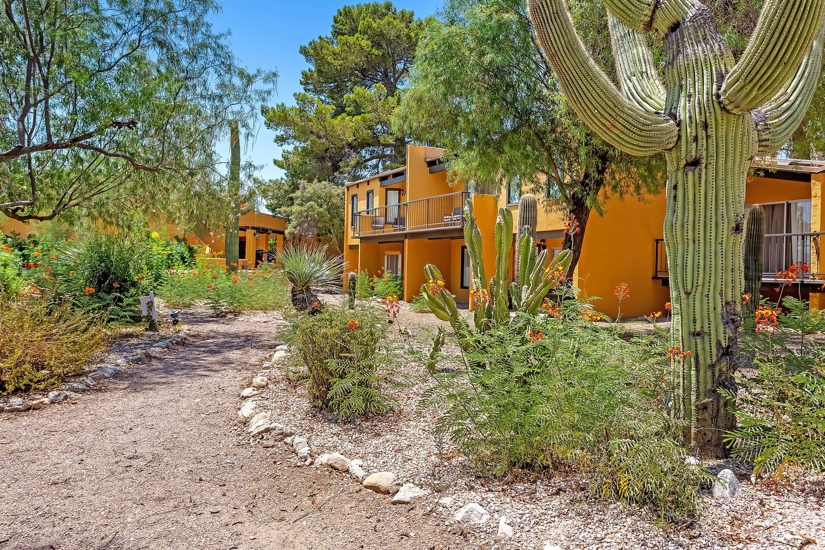 Property amenity | Westward Look Wyndham Grand Resort and Spa