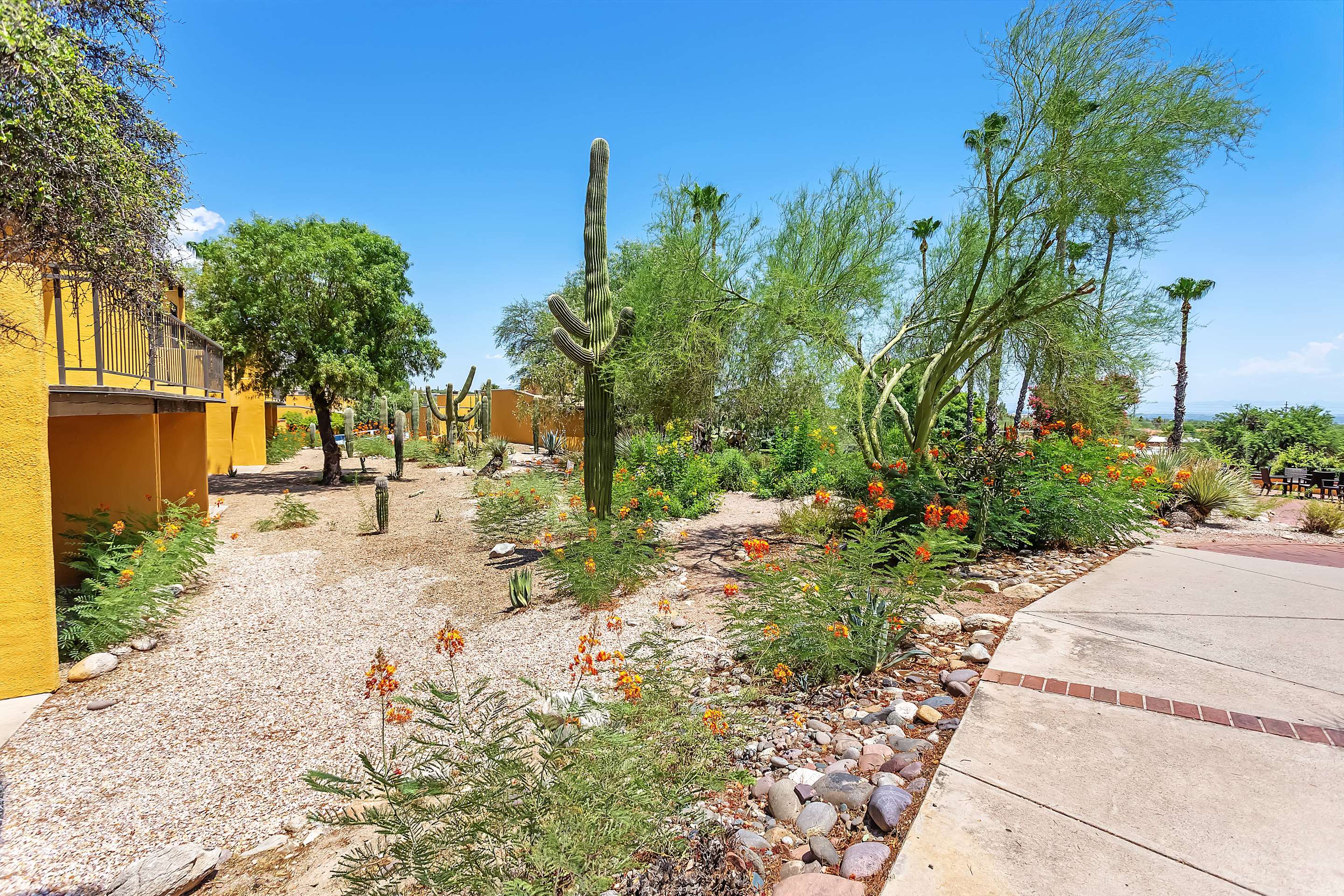 Property amenity | Westward Look Wyndham Grand Resort and Spa
