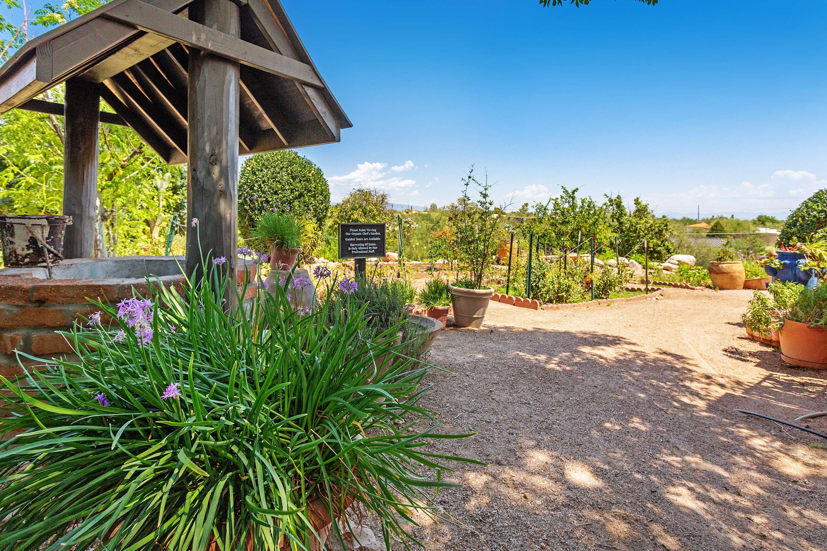 Property amenity | Westward Look Wyndham Grand Resort and Spa