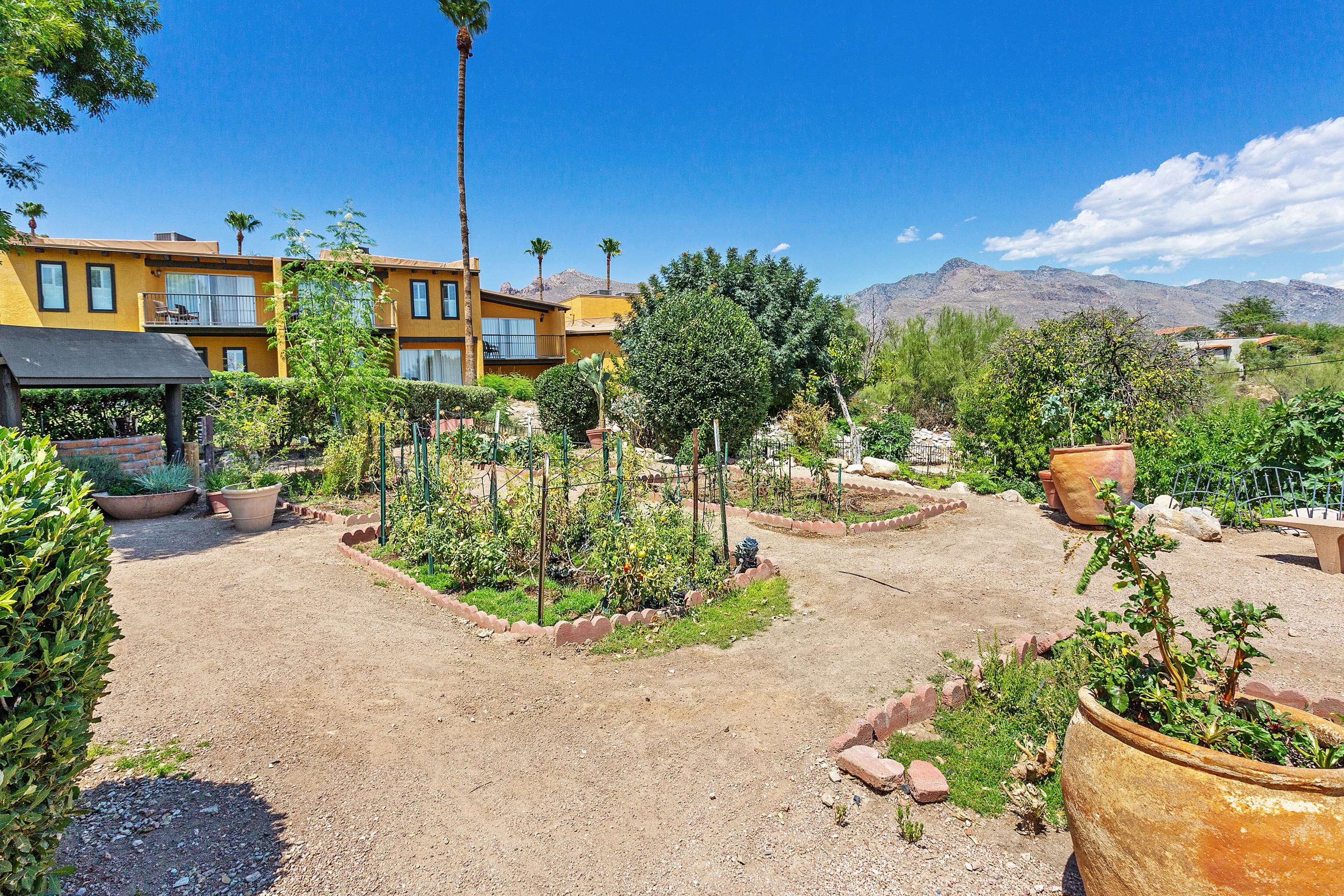 Property amenity | Westward Look Wyndham Grand Resort and Spa