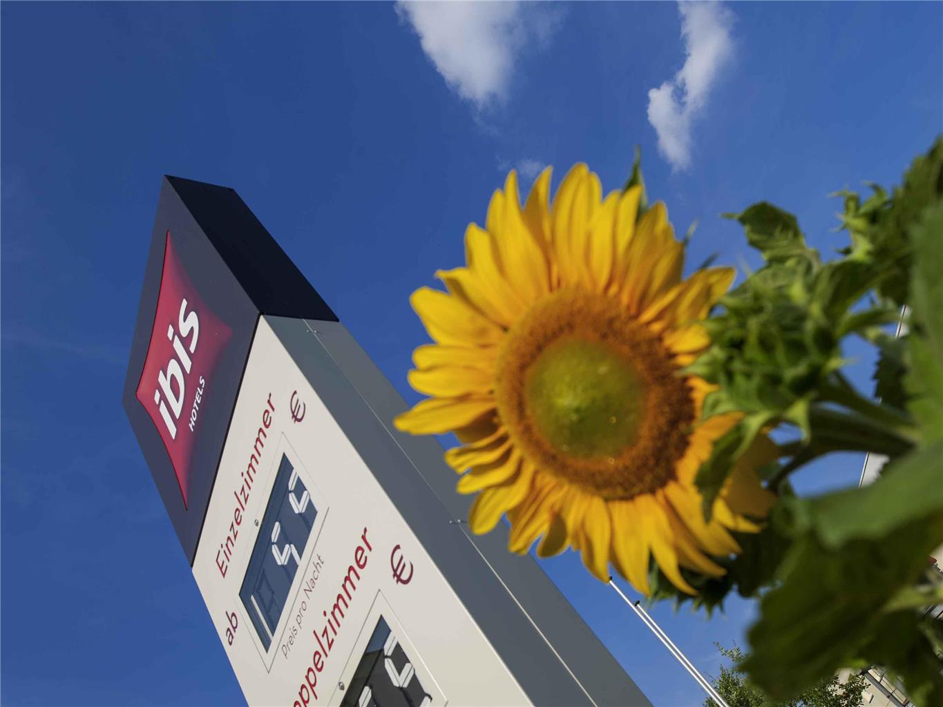 Ibis Berlin Dreilinden