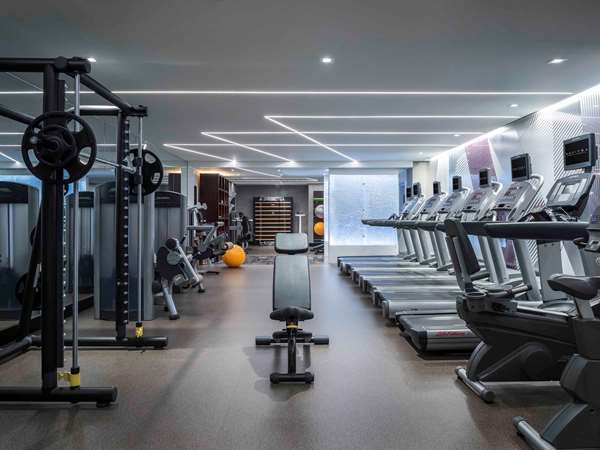 Fitness/ Exercise Room - Sofitel Chicago Magnificent Mile Hotel