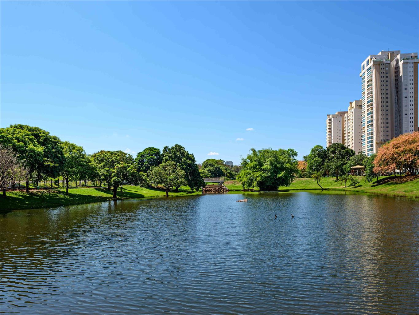 Ibis Ribeirao Shopping Ribeirao Preto