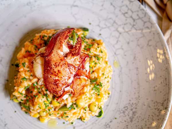 SOFITEL LAFAYETTE SQUARE WASHINGTON DC - Photo 39