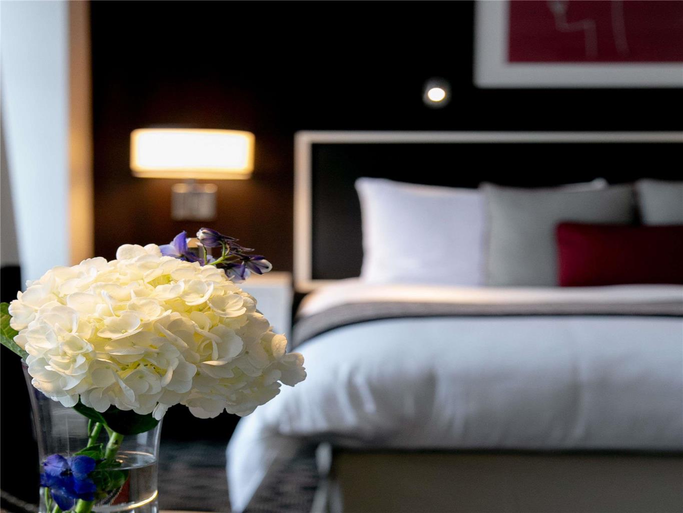 SOFITEL LAFAYETTE SQUARE WASHINGTON DC - Photo 27