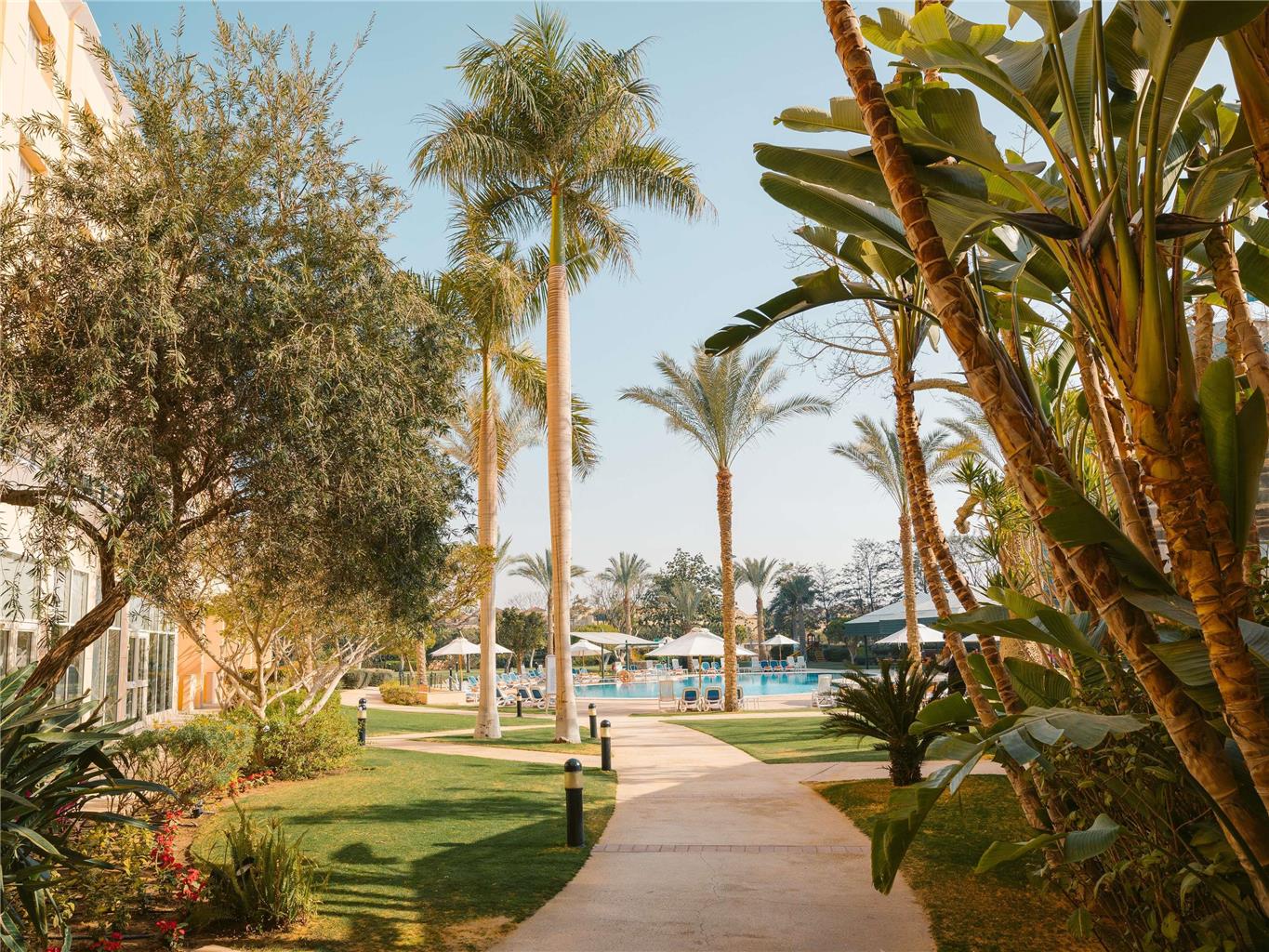 Novotel Cairo 6th of October