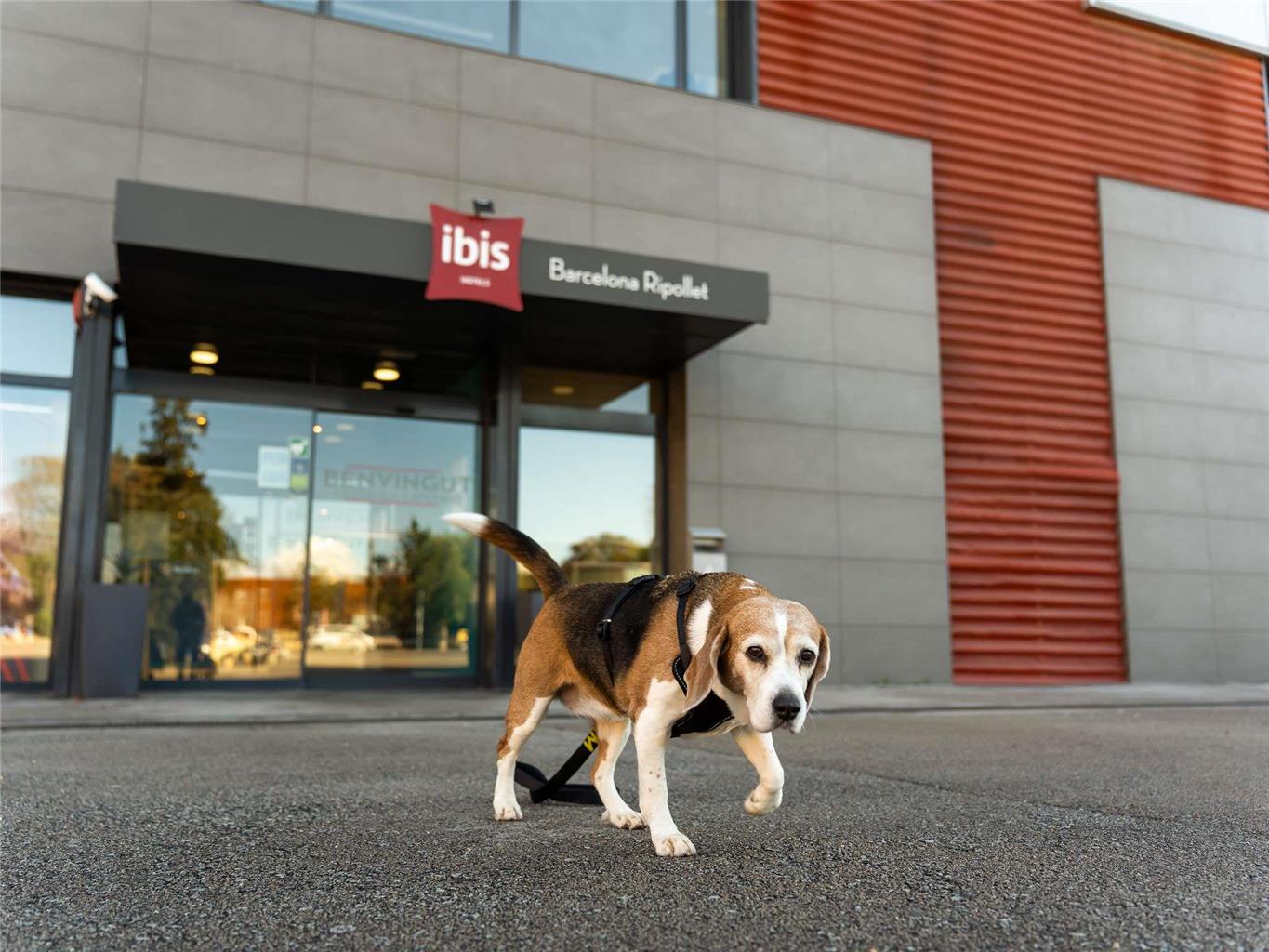 Hotel Ibis Barcelona Ripollet