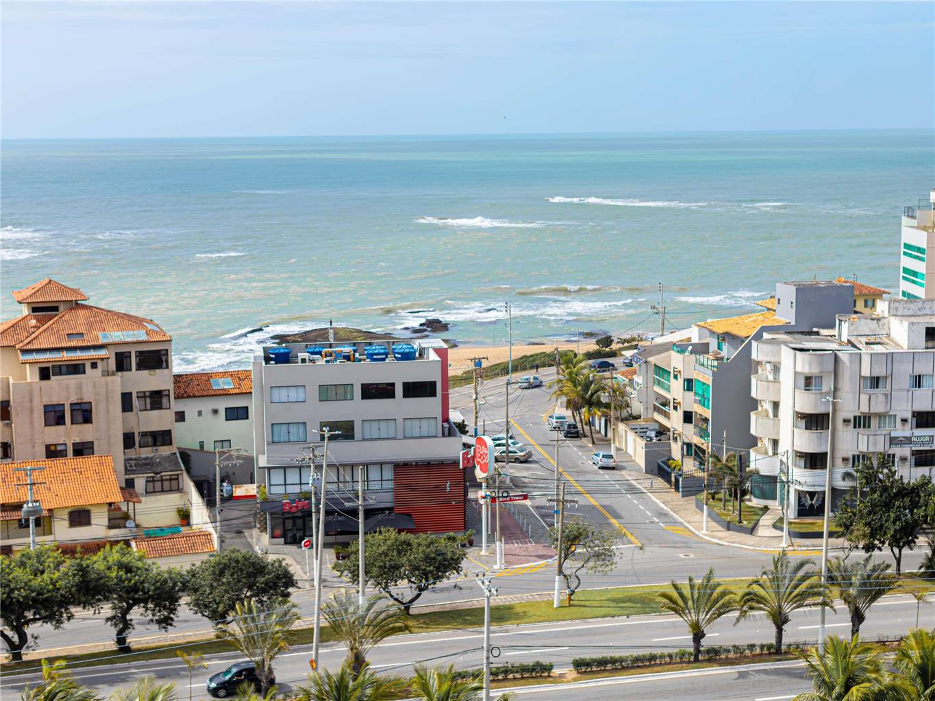 Ibis Macae