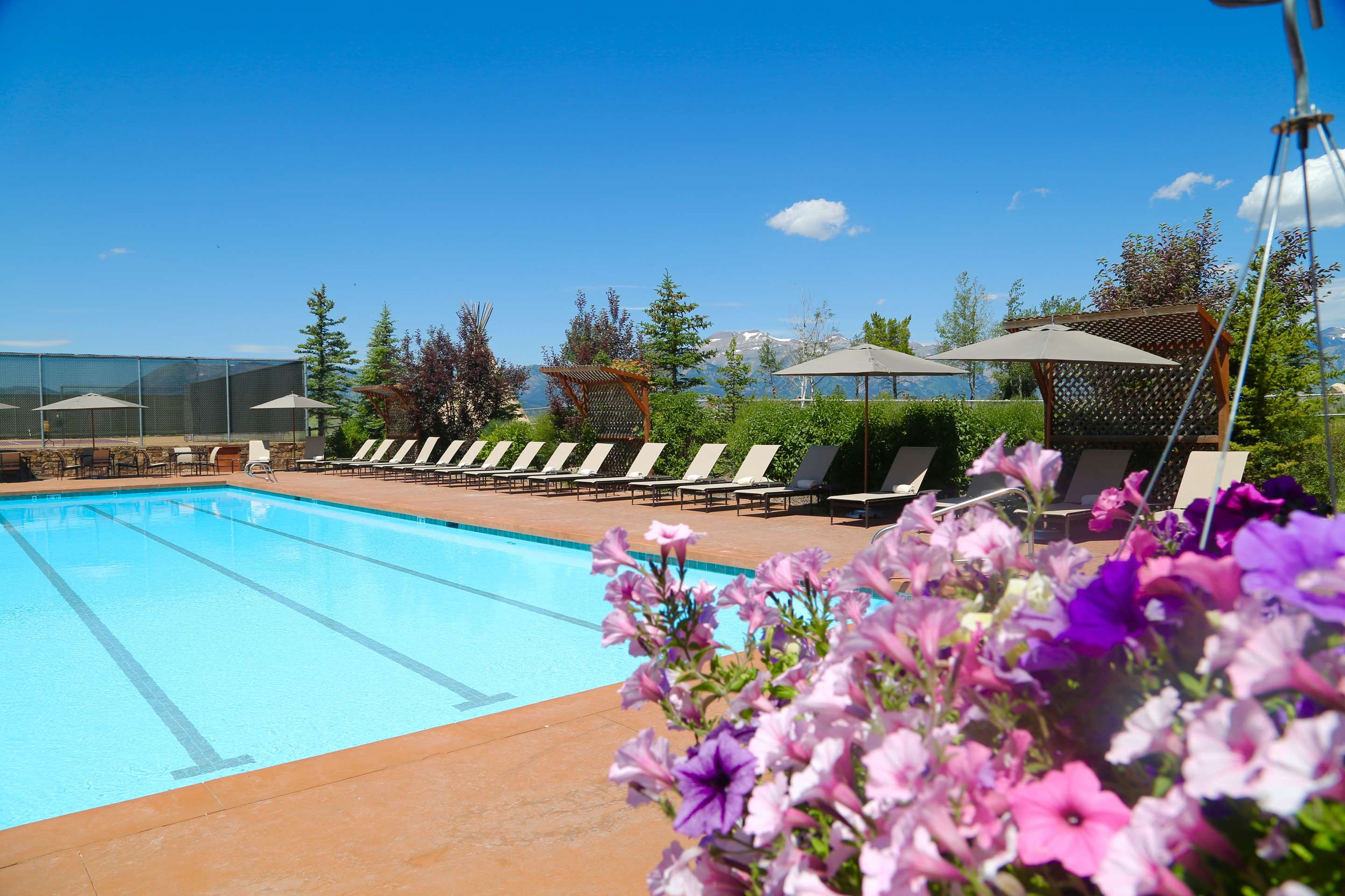 Pool | Spring Creek Ranch
