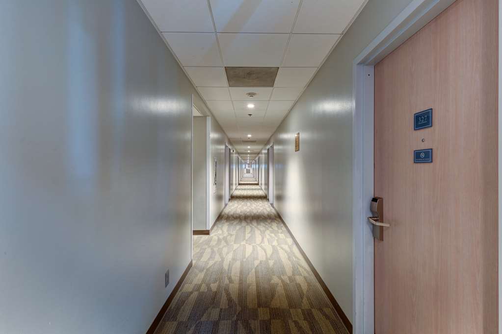 Good Nite Inn Buena Park - Anaheim Disneyland-guestroom-Guest Room,On-Site.jpg