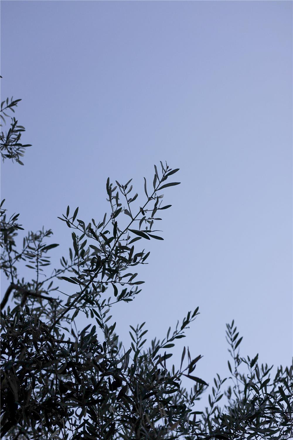 HÔTEL KYRIAD MARSEILLE - Vitrolles Aéroport - Vue extérieure