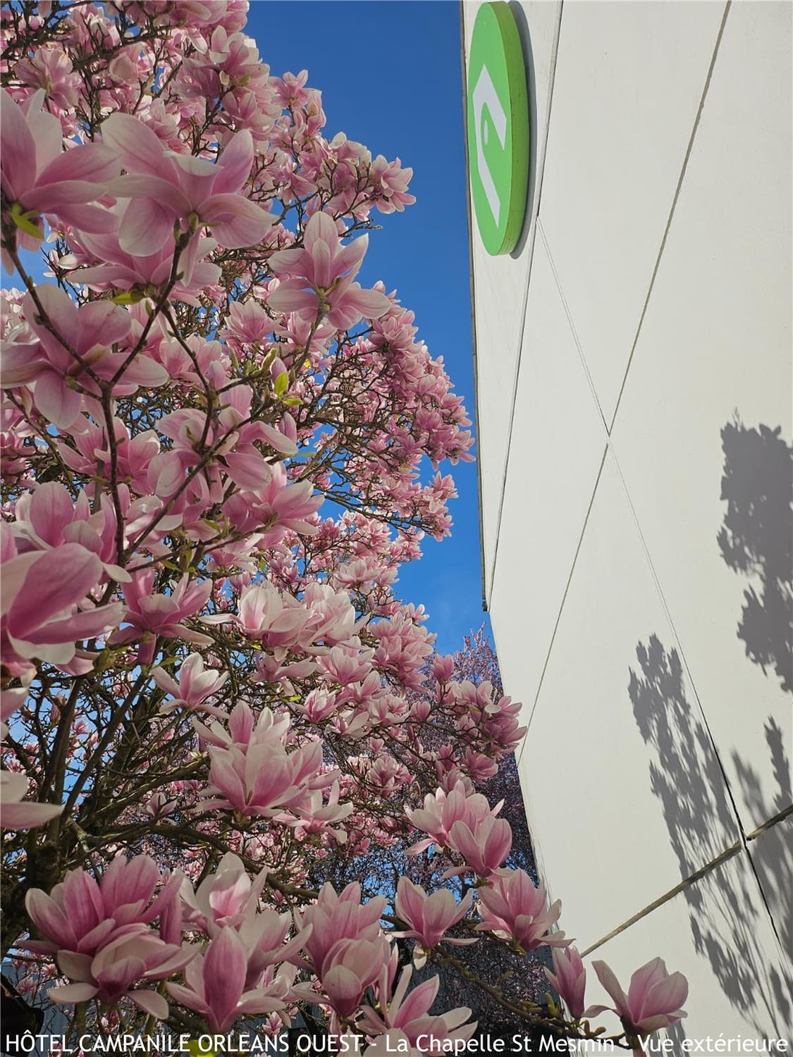 HÔTEL CAMPANILE ORLEANS OUEST - La Chapelle St Mesmin - Vue extérieure