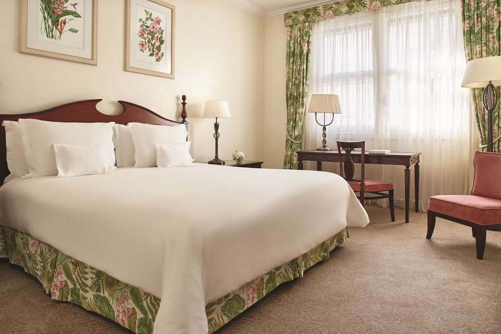 Guest photo