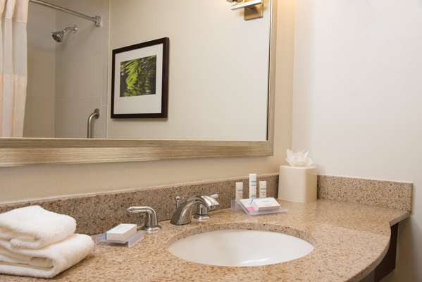  - Hilton Garden Inn Lexington - I-75, Exit 108