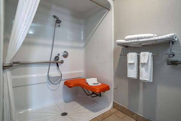  - Best Western Plus Carlton Suites Homewood - I-65, Exit 255
