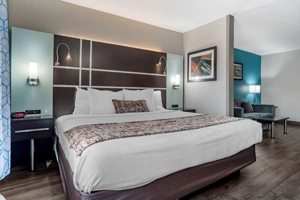  - Best Western Plus Carlton Suites Homewood - I-65, Exit 255