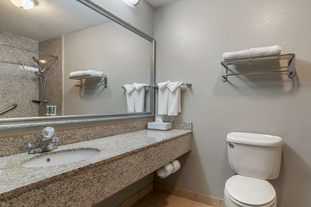 Best Western Auburn/Opelika Inn-guestroom-Guest Room,Bathroom,On-Site.jpg
