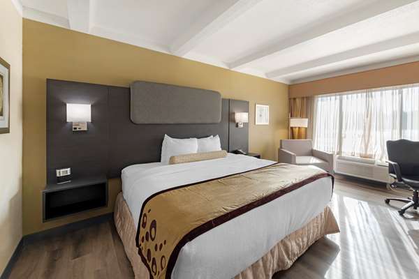  - Best Western Plus Madison-Huntsville Hotel - I-565, Exit 9