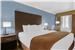 1 King Bed