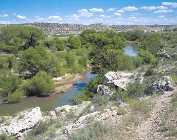  - Best Western Cottonwood Inn