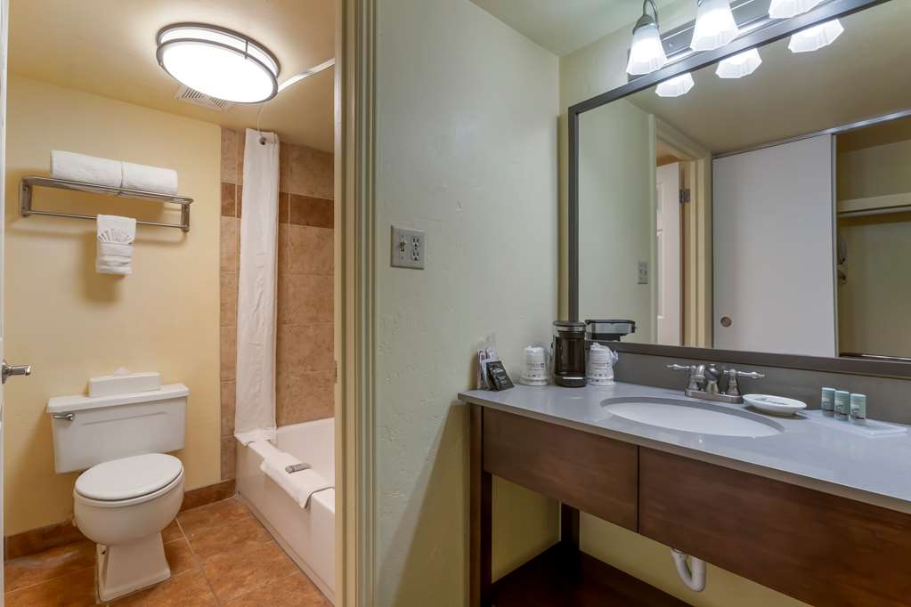 Best Western Phoenix Goodyear Inn-guestroom-Guest Room,Bathroom,On-Site.jpg