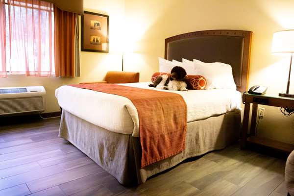  - Best Western Plus Inn of Williams - I-40, Exit 161