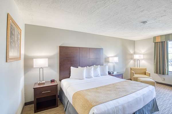  - Best Western Green Valley Inn - I-19, Exit 65