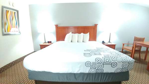  - Best Western Jacksonville Inn