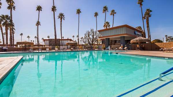 Pool - Best Western Date Tree Hotel Indio