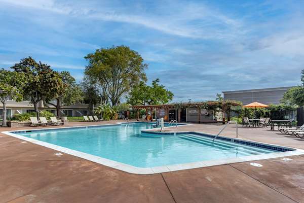 Pool - Best Western Plus Garden Court Inn Fremont - I-880, Exit 17